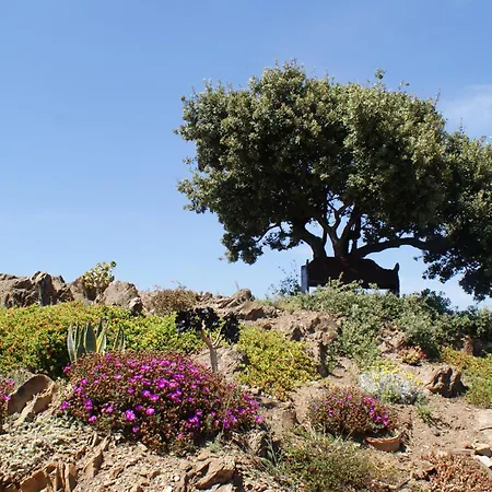 Casa Azafranes - Boutique - Bed & Breakfast *