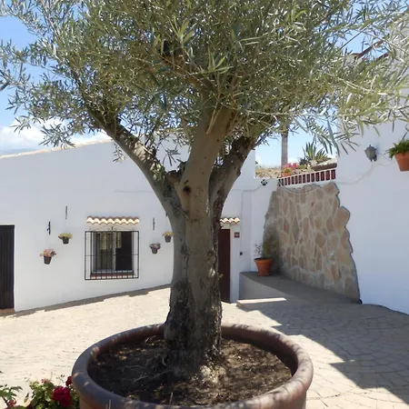 Casa Azafranes - Boutique - Bed & Breakfast