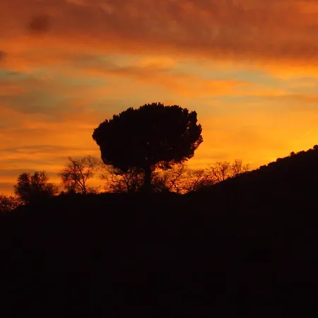 Casa Azafranes - Boutique - Bed & Breakfast *